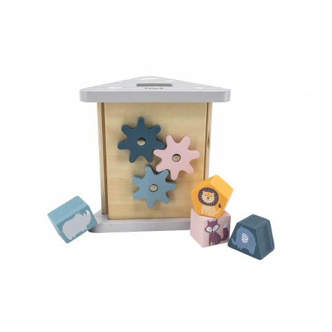 Shape Sorter & Gear Play