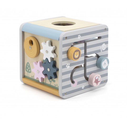 5 in 1 Activity Box - PolarB