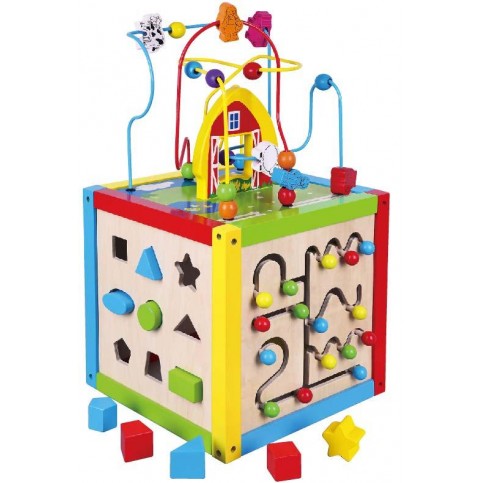 5 in 1 Activity Cube