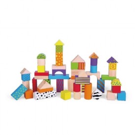 50 Piece Building Blocks 