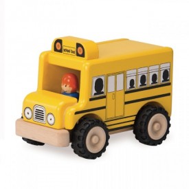 Mini School Bus